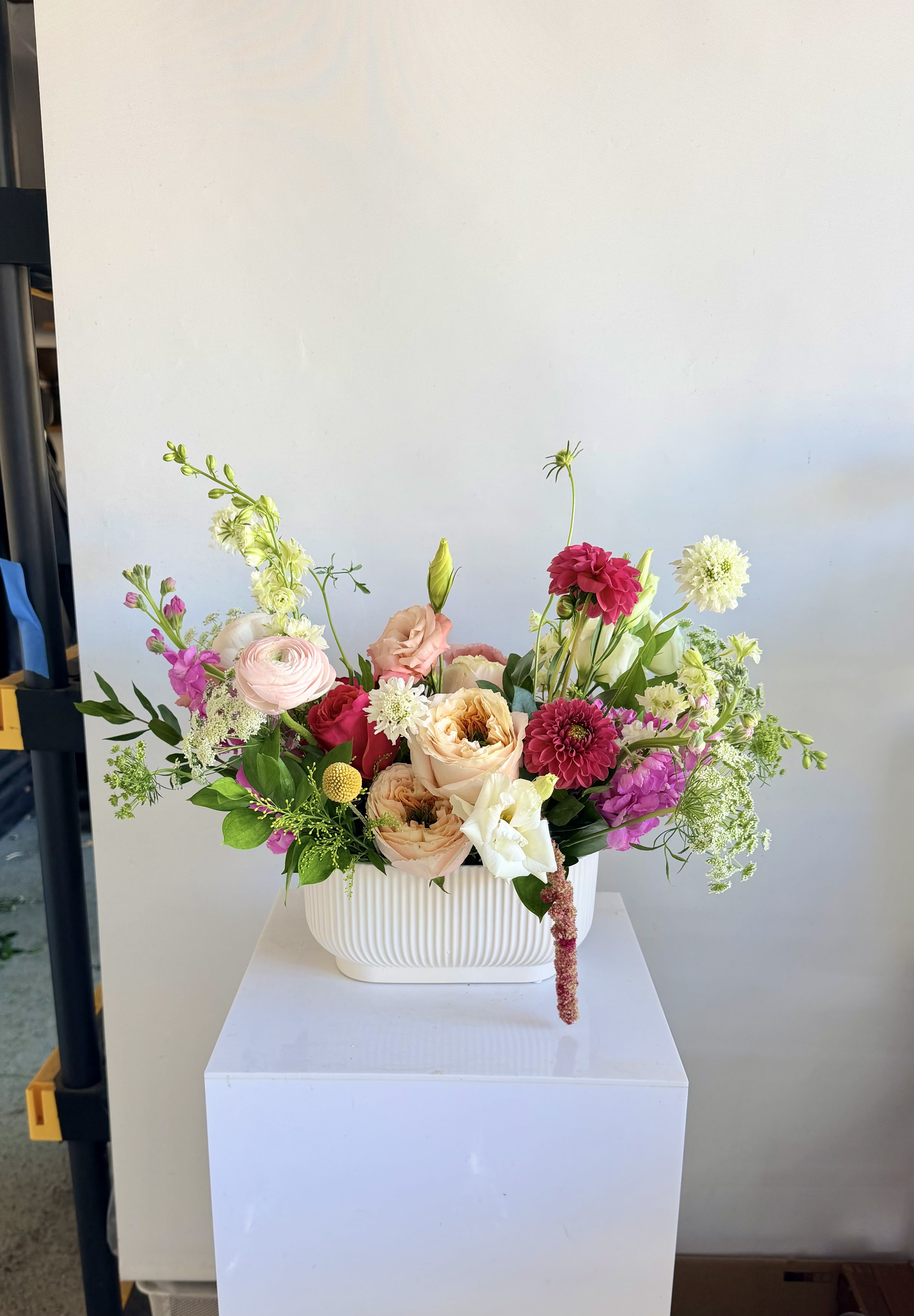 Blushing blooms