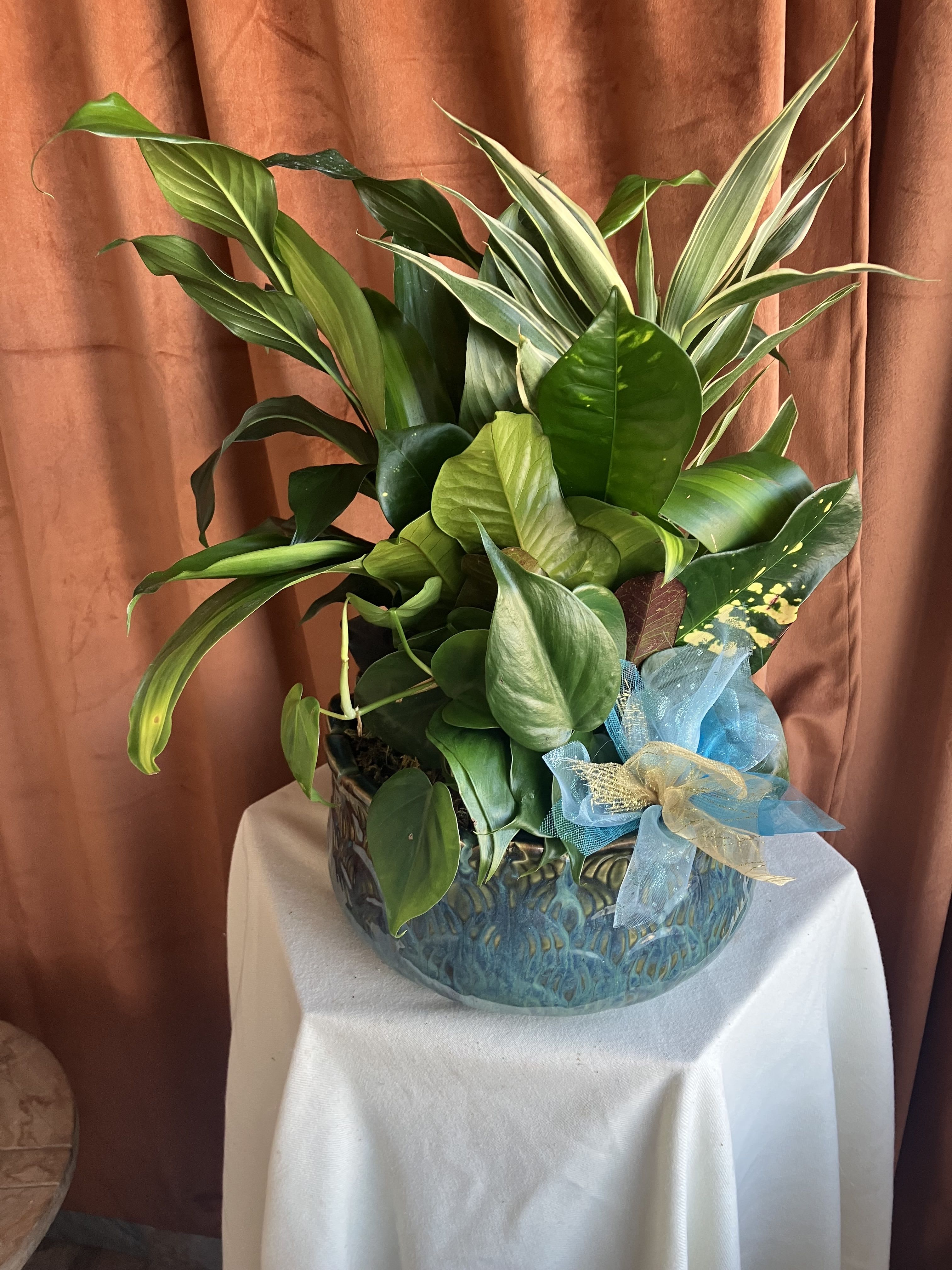 10 Inch Dish Garden