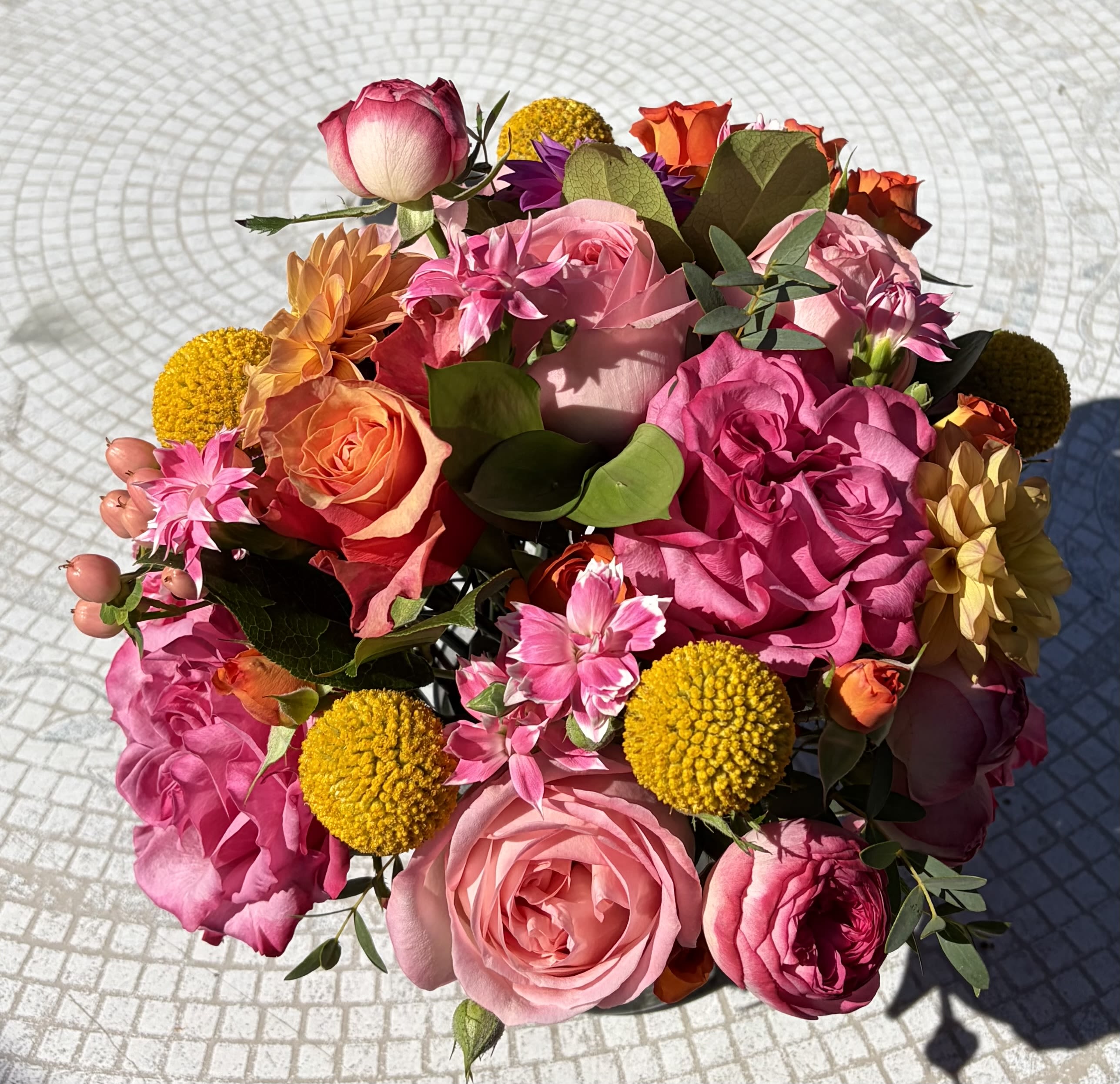 Vibrant Blooms