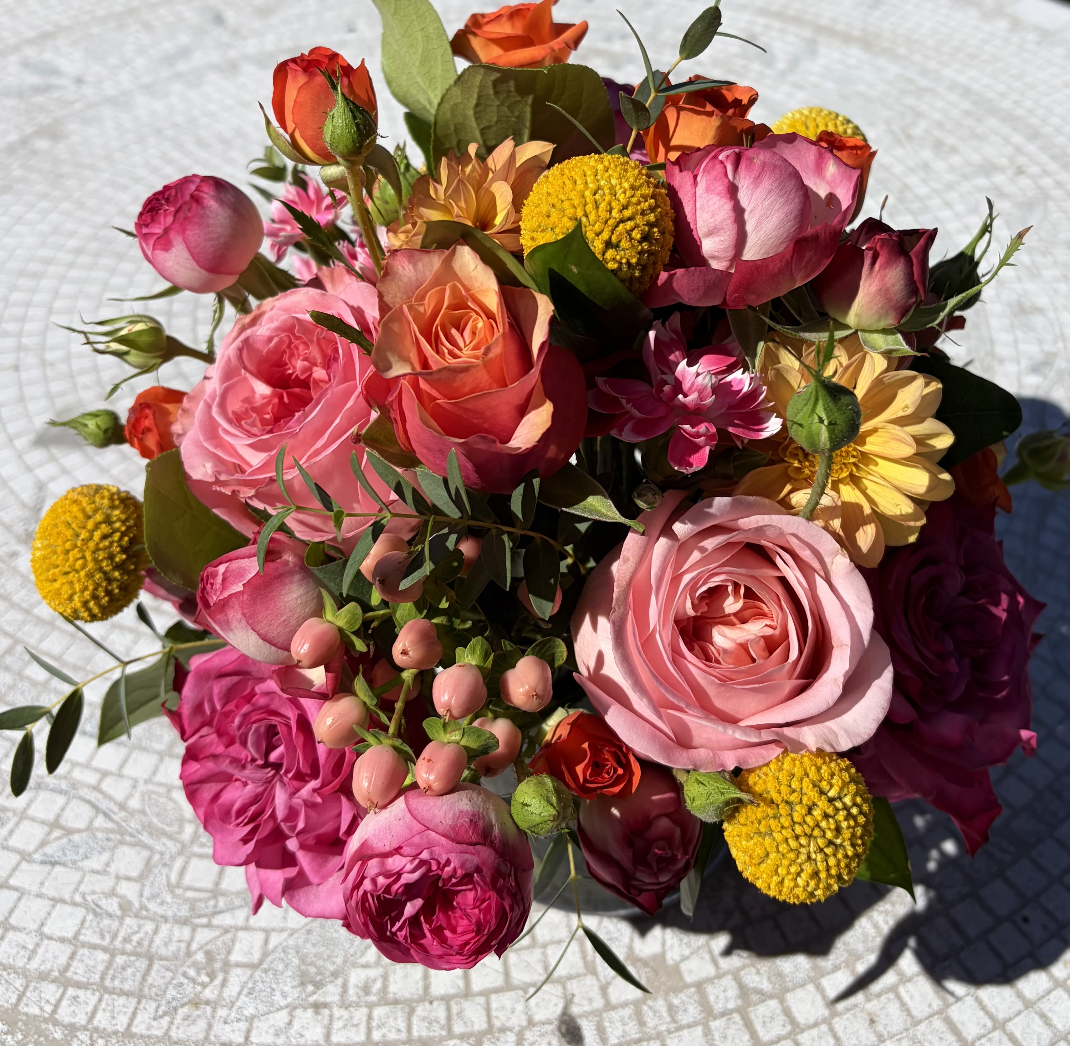 Vibrant Blooms