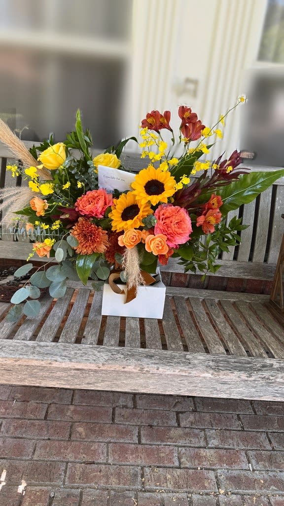 Autumn Harvest Glow