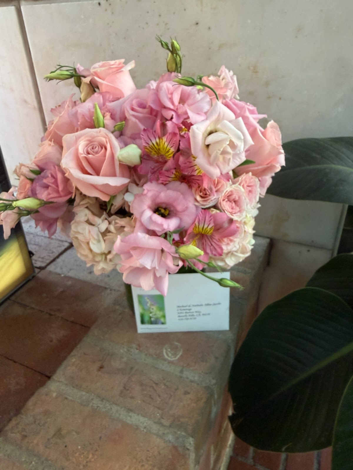 Blushing Bouquet: A Delicate Symphony of Soft Beauty