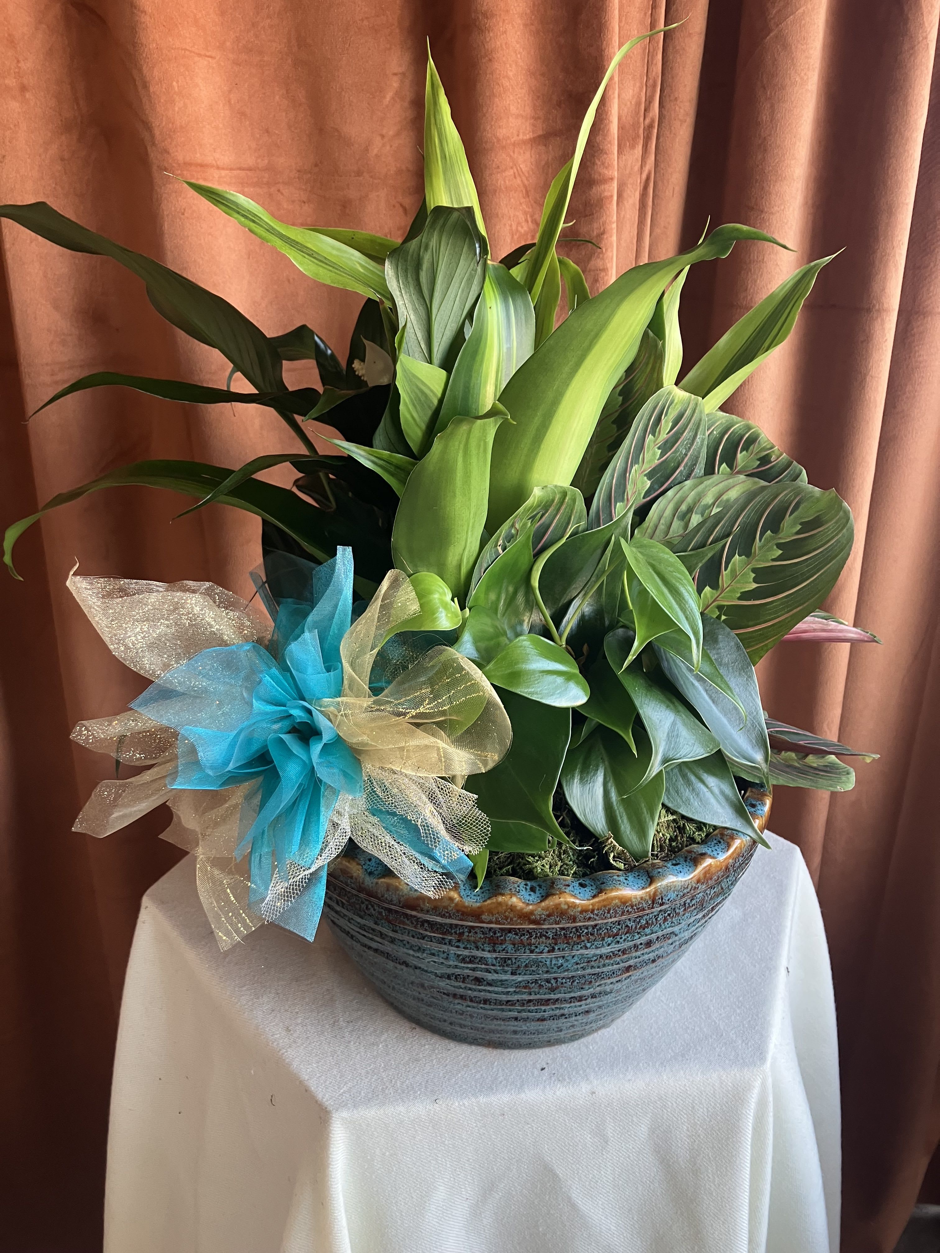 10 Inch Dish Garden
