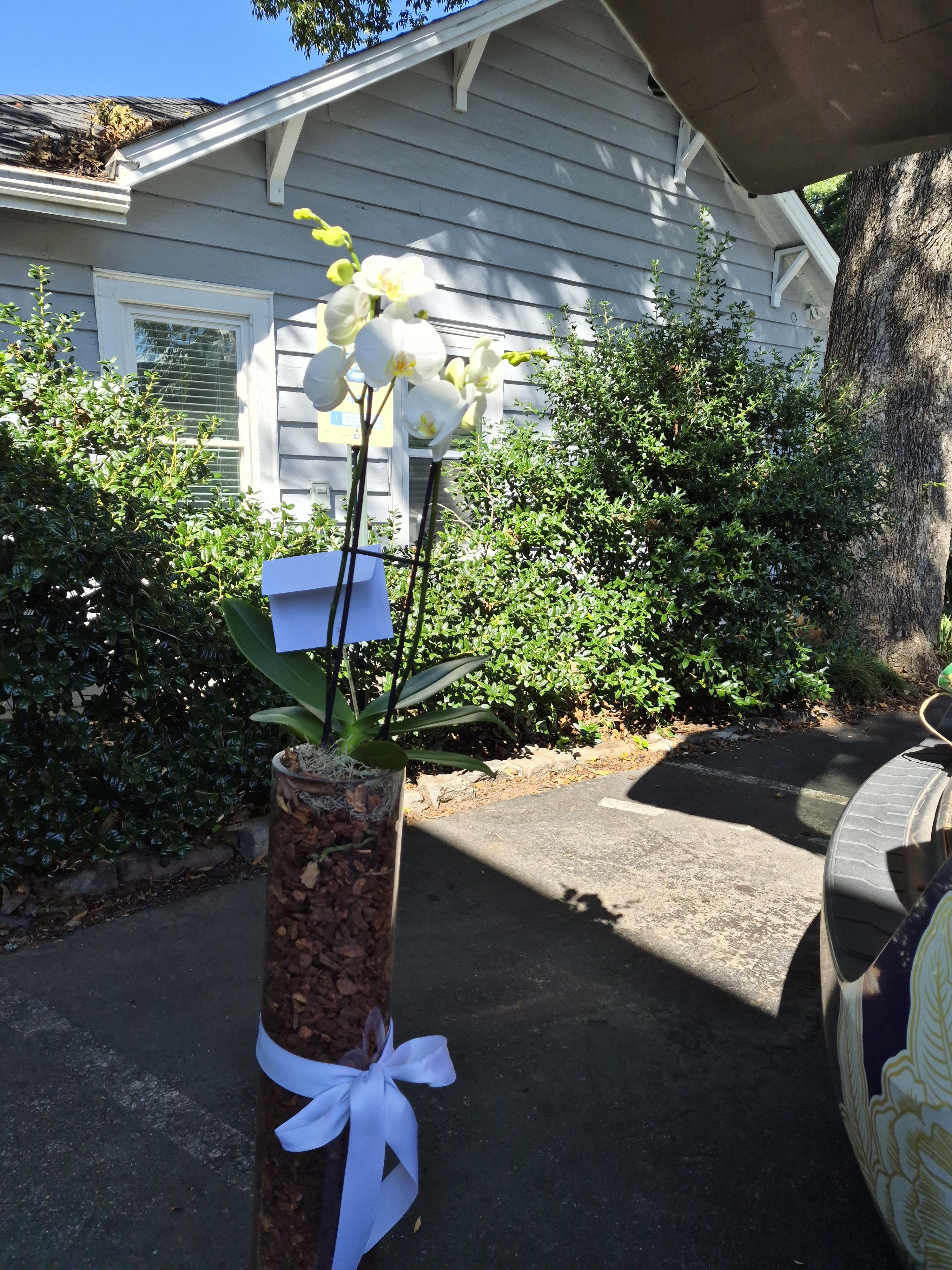 Old 4th Ward Orchid Planter