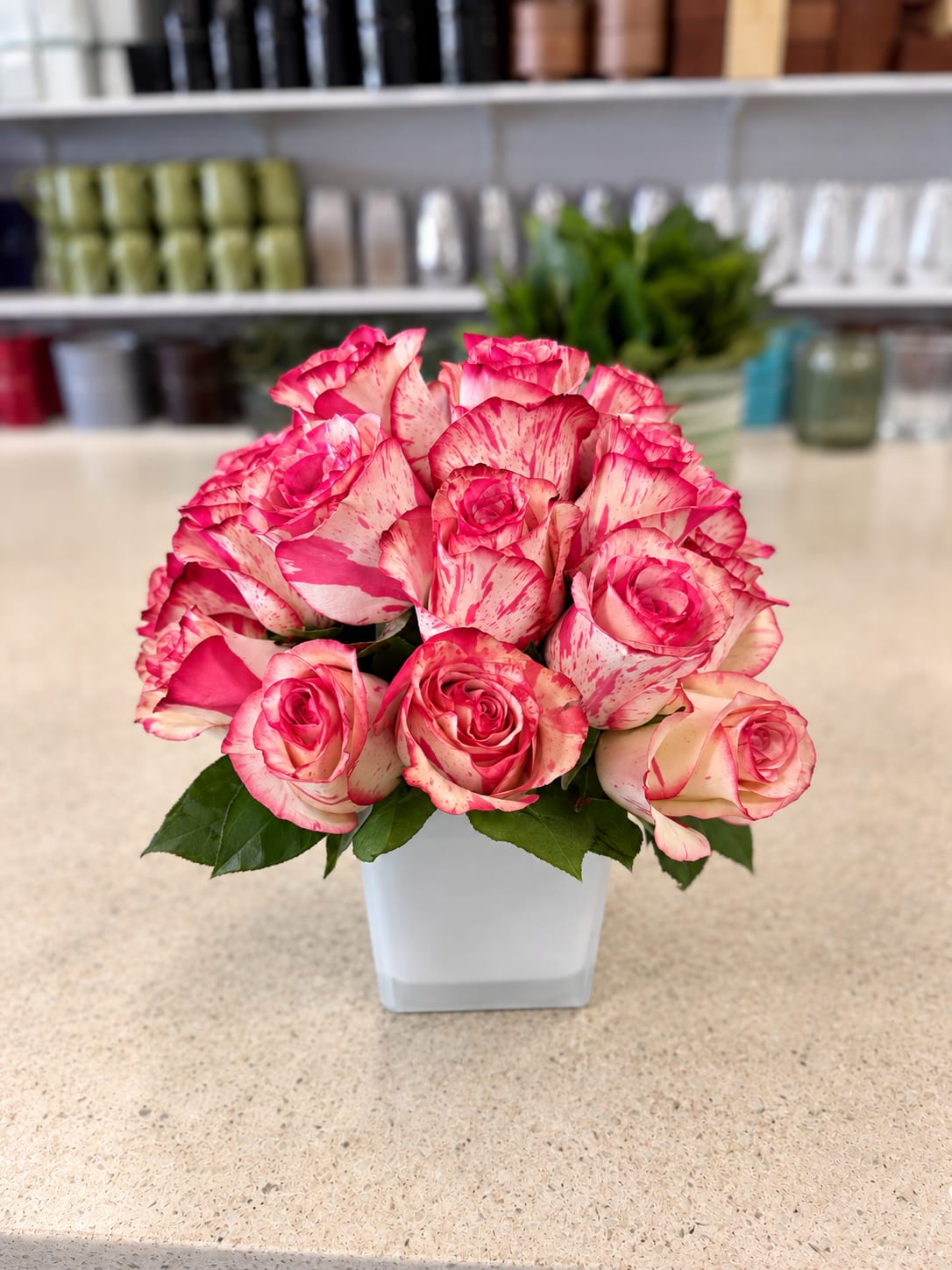 Blush Edge *Half Off*