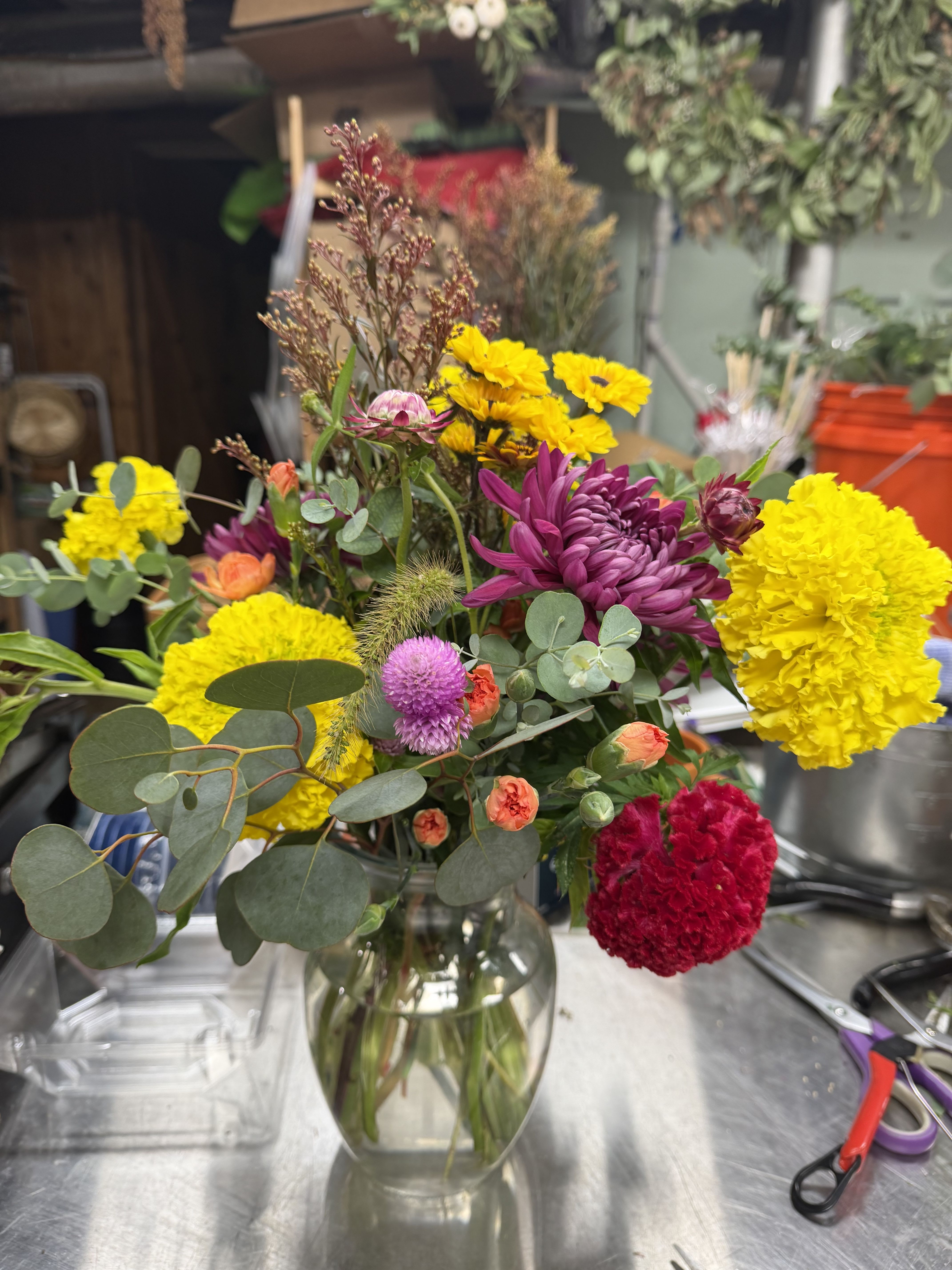 Explosion of Color- Designers Choice