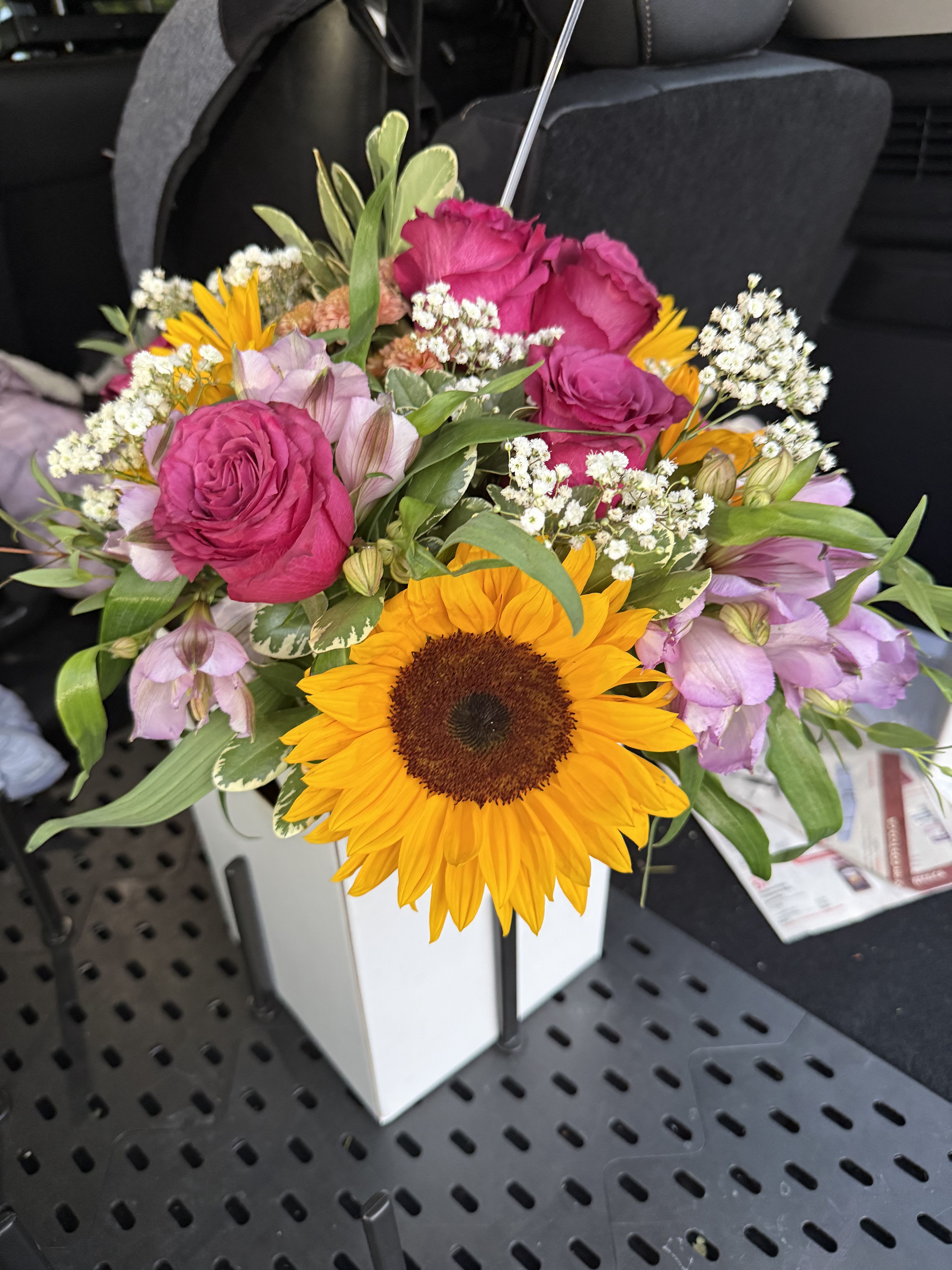 Soleil Violet
