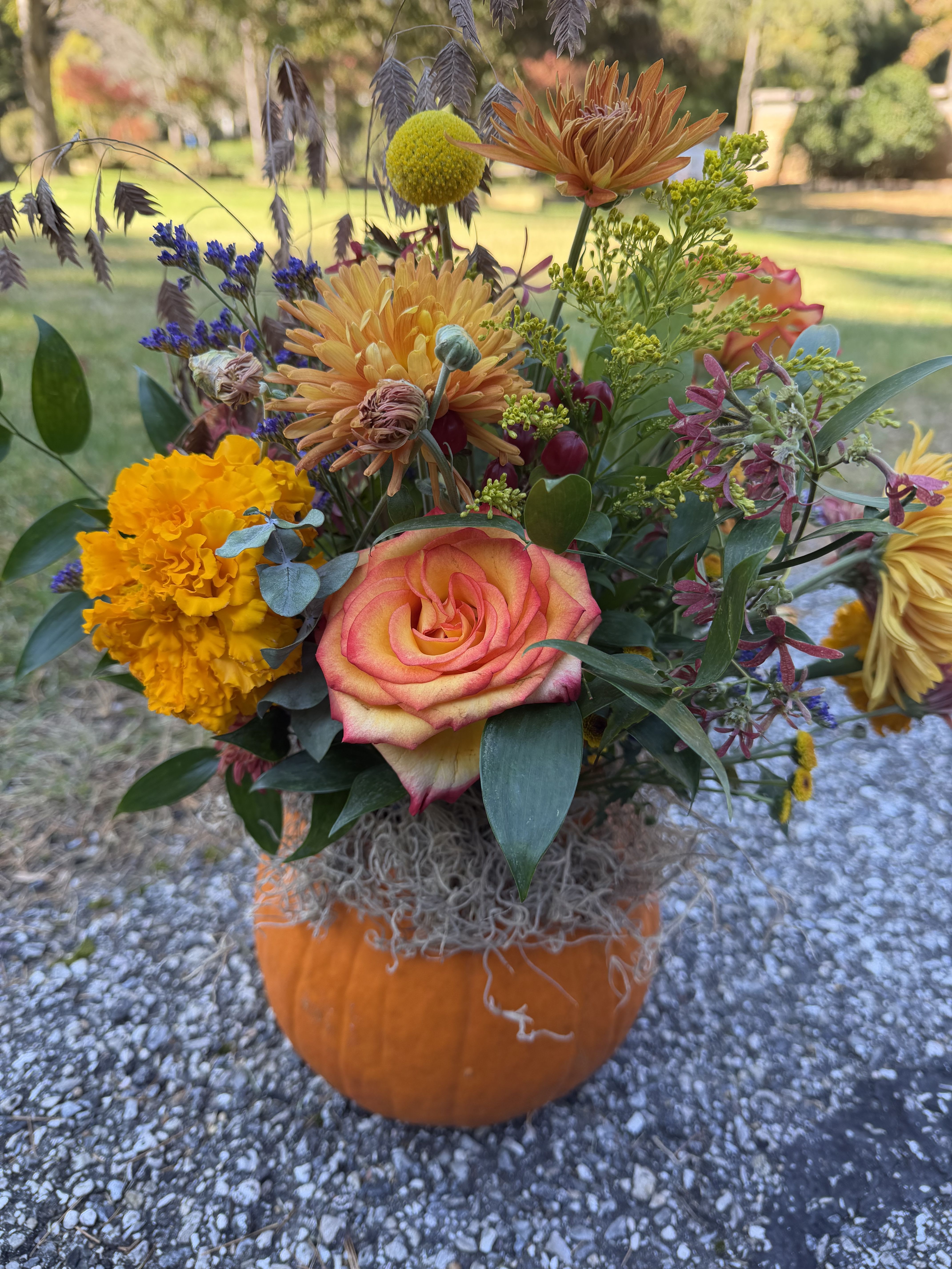 Harvest Glow