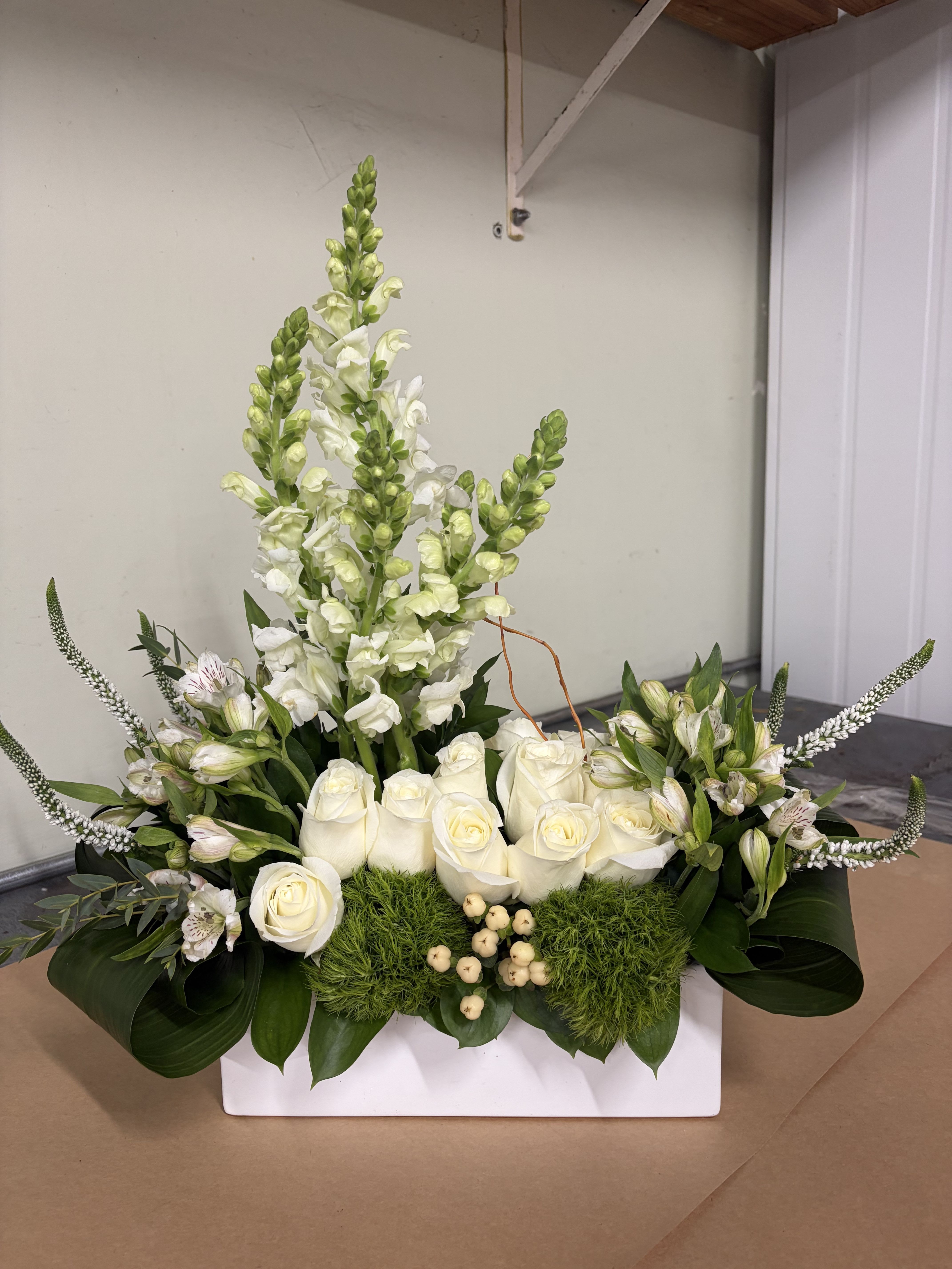 BEAUTIFUL FREESIA