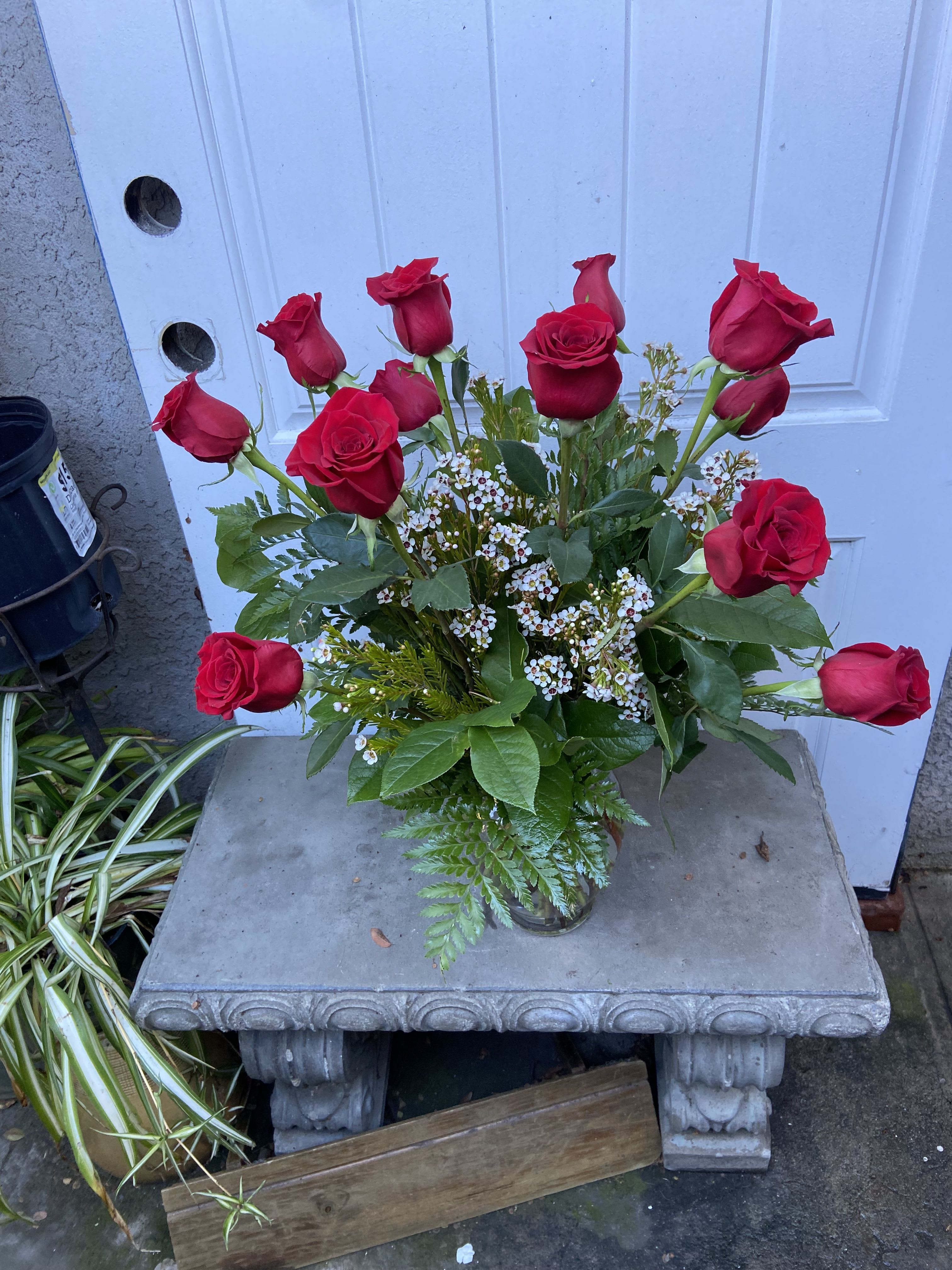 Traditional Doz Roses