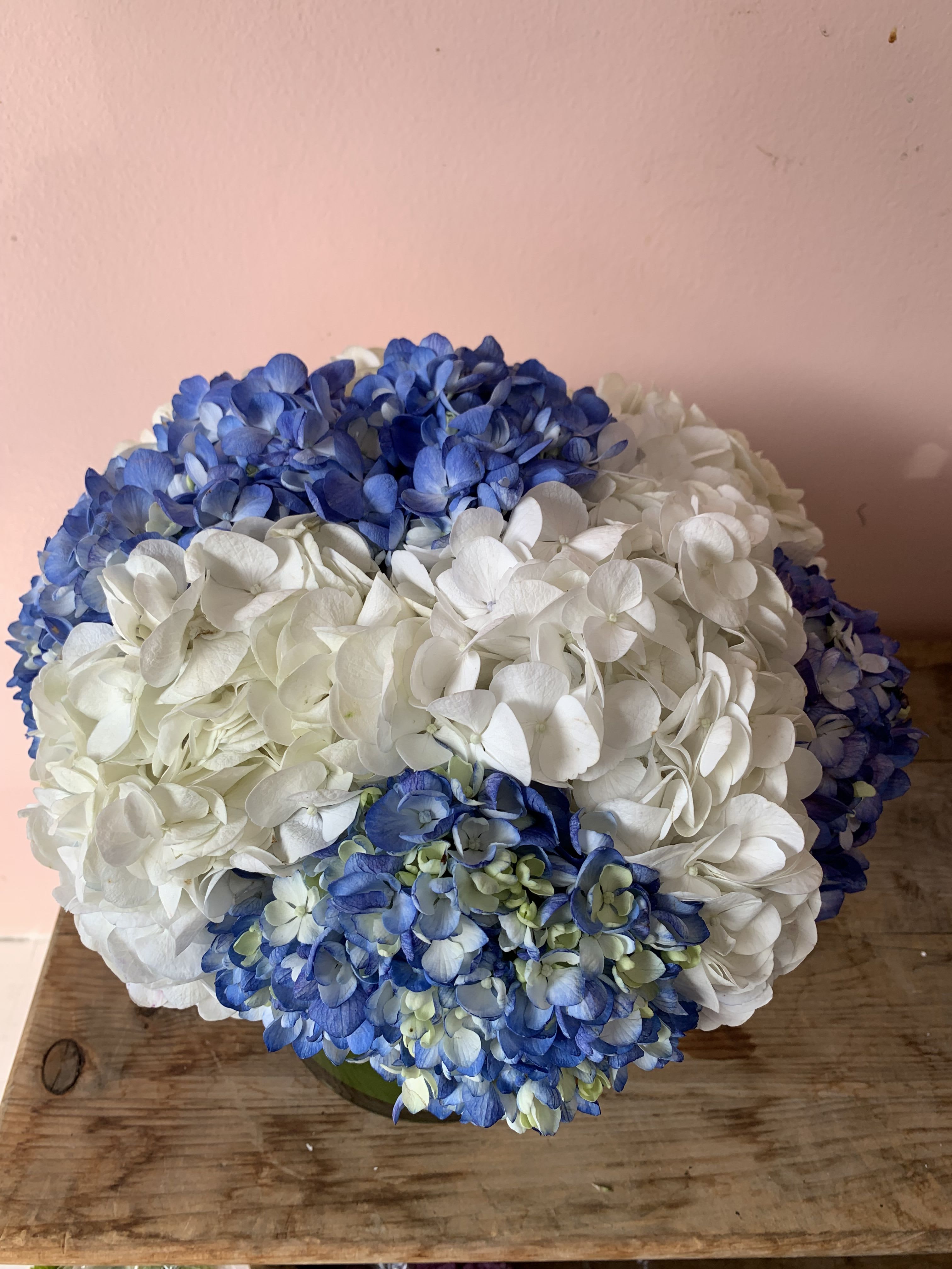 Out of the Blue | Blue & White Hydrangea Flower Delivery in San Francisco 