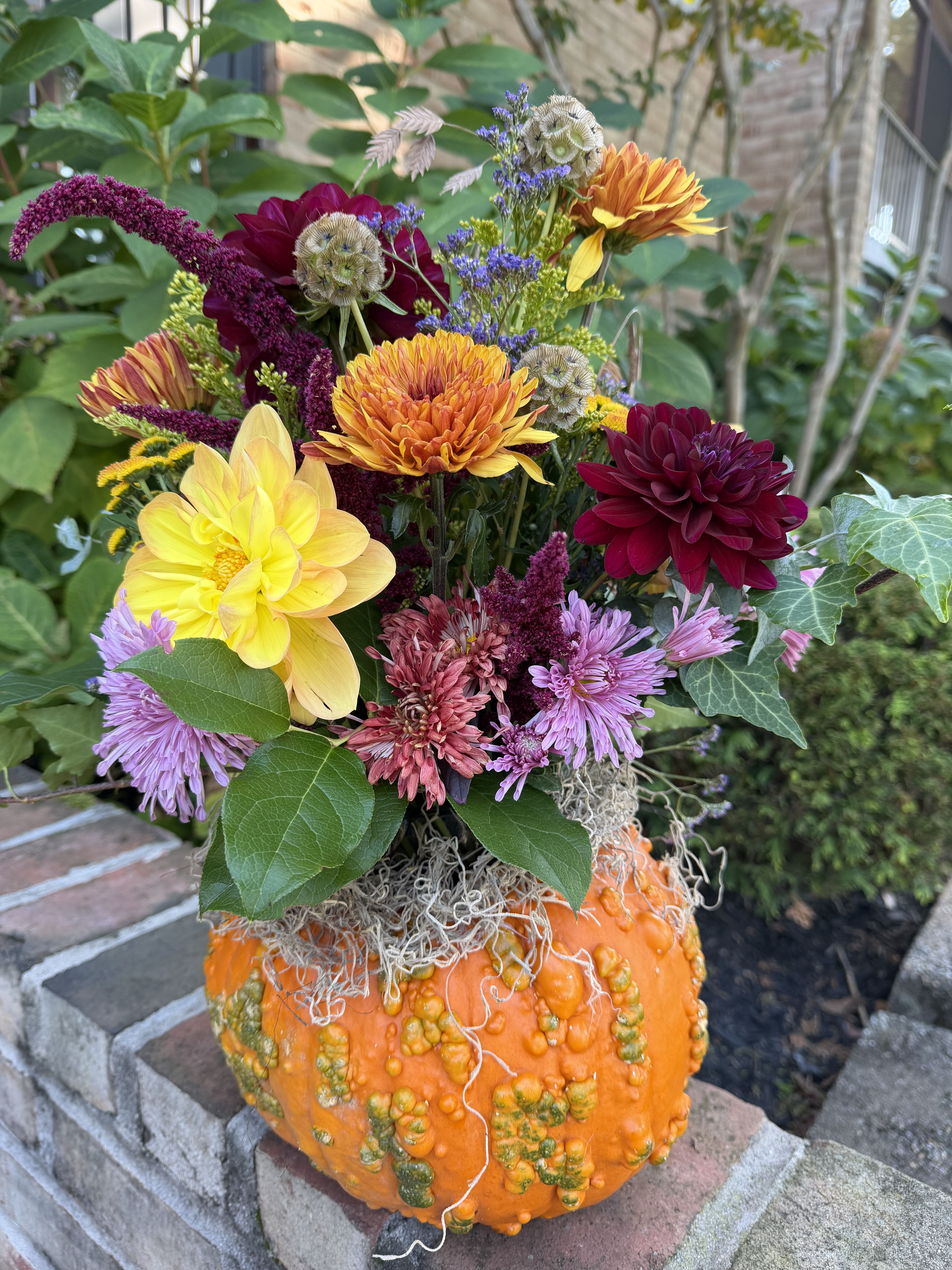 Harvest Glow