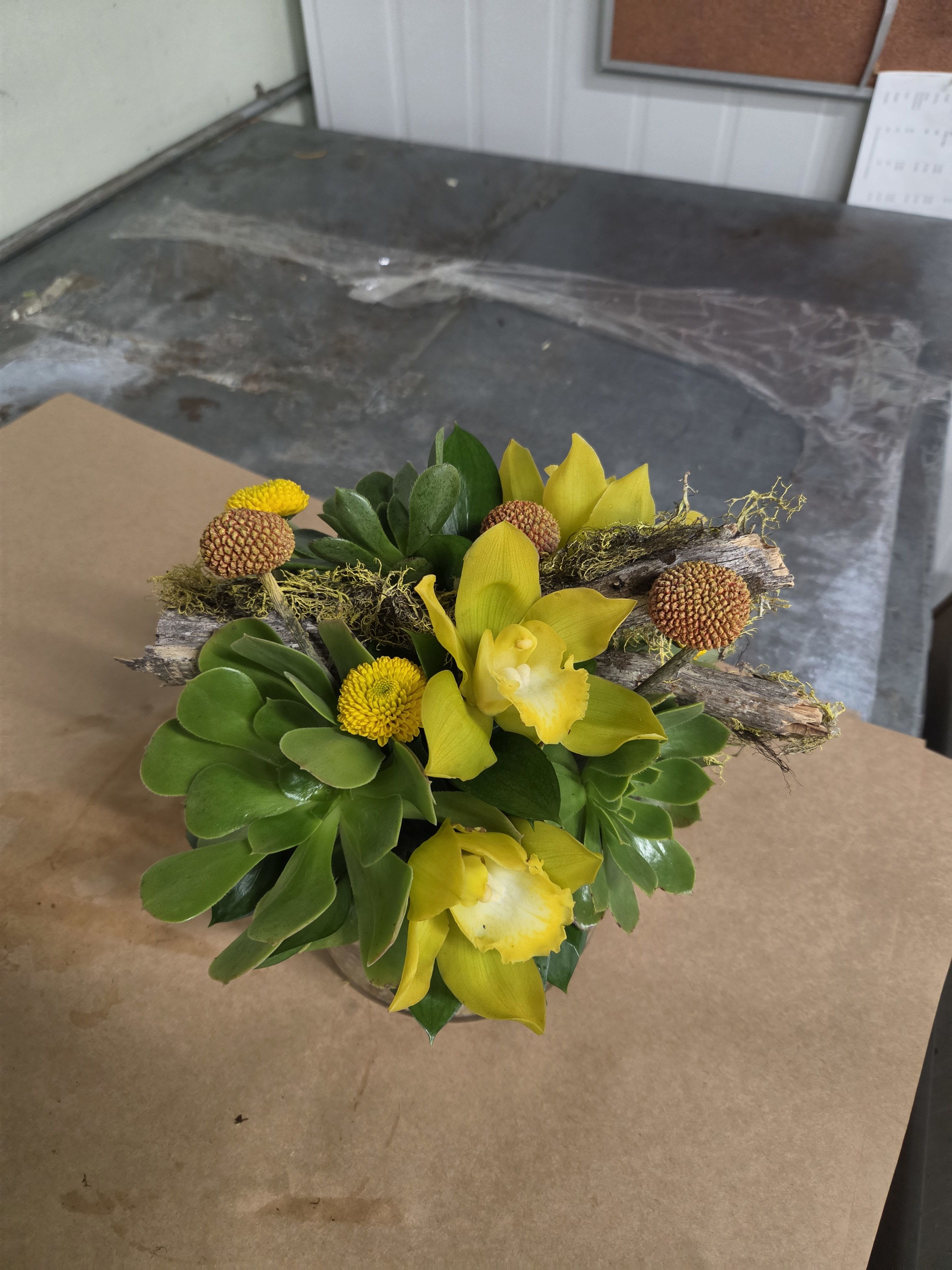 Gorgeous Succulent Orchid – Green Cymbidium Orchid & Purple Echeveria Glass Dish