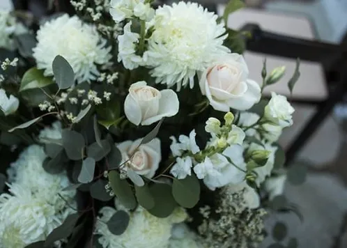White roses
