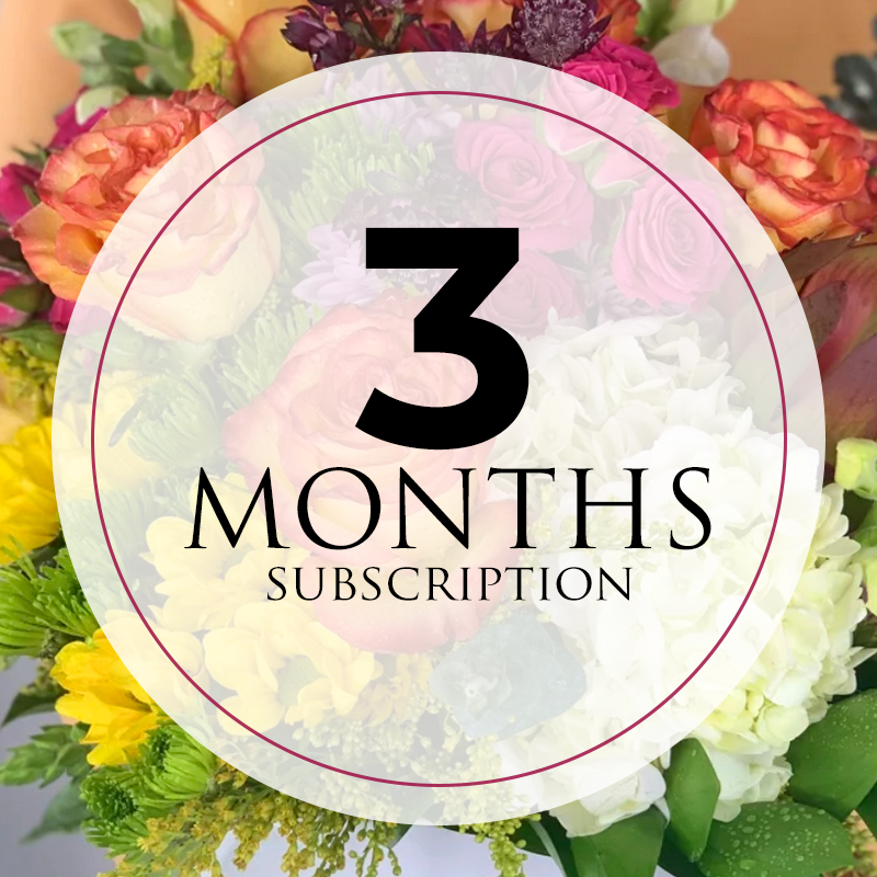 3 month flower subscription