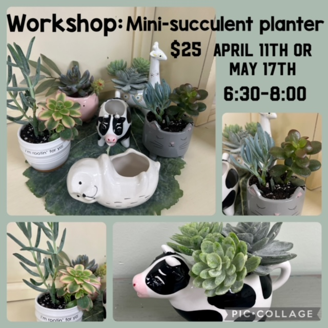 Workshop: workshop-mini-succulent-planter