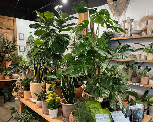 Botanica Floral Design Store Interior