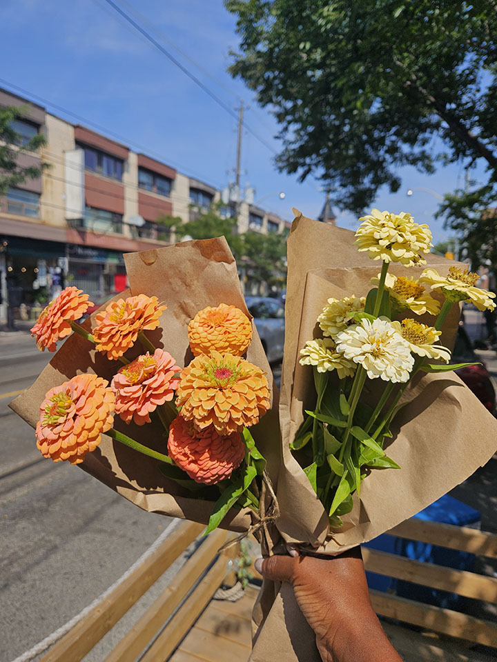 Flower arrangement