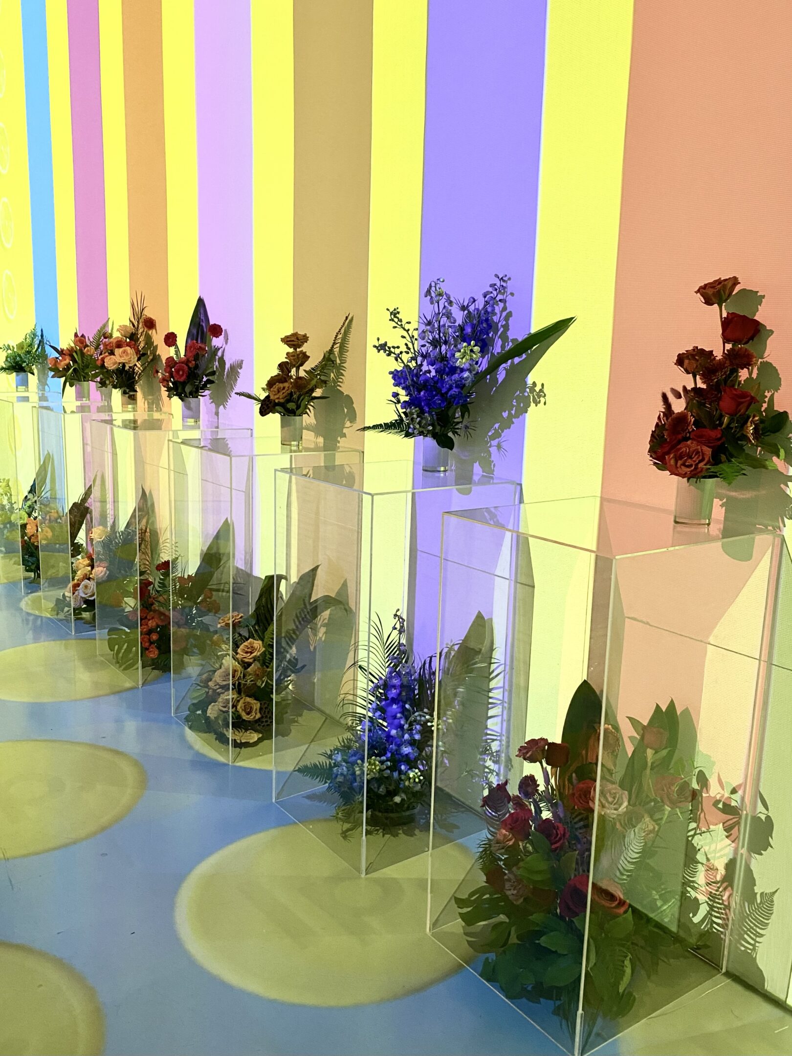 Vibrant event installation