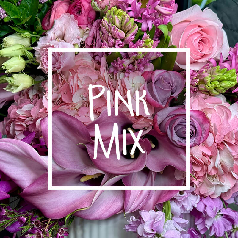 Desinger Choice Pink