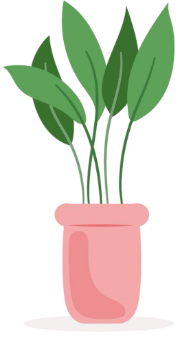 Vector 2