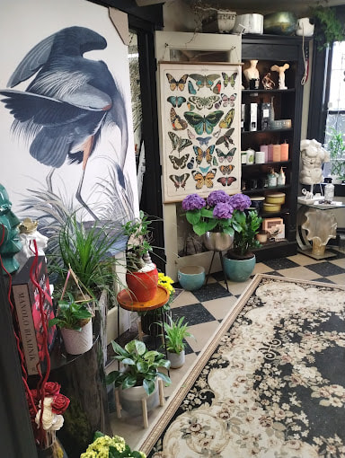 Interior of the floral shop with plants and displays