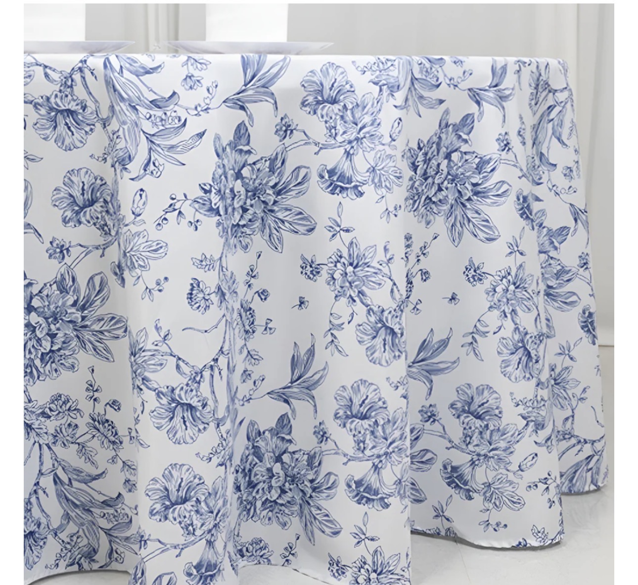 Blue Toile 3