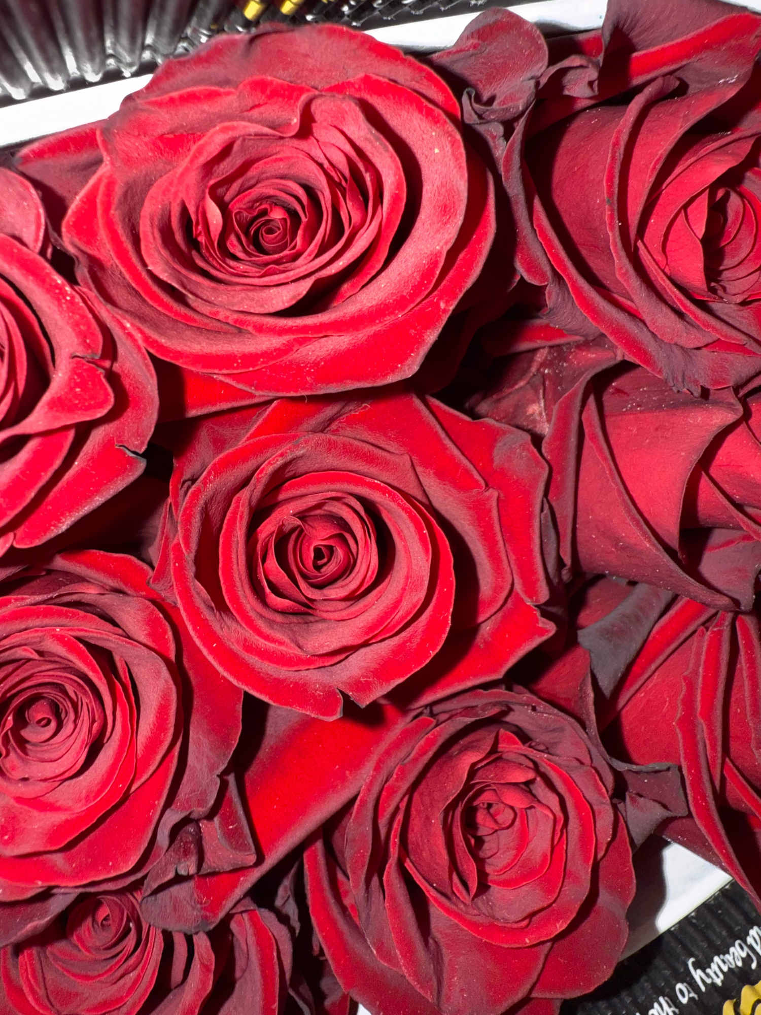 Red Wholesale roses