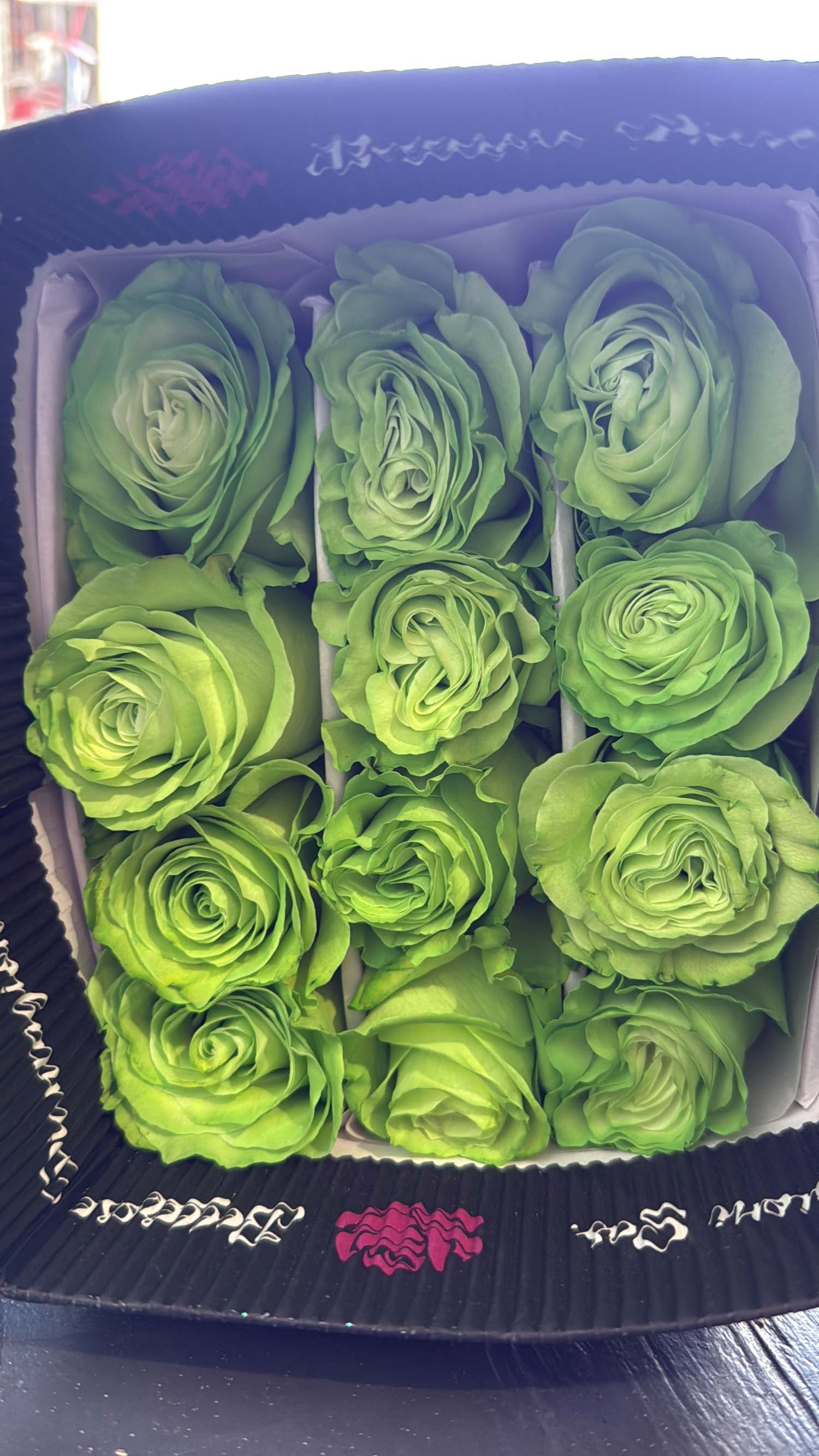 Green Wholsale Roses