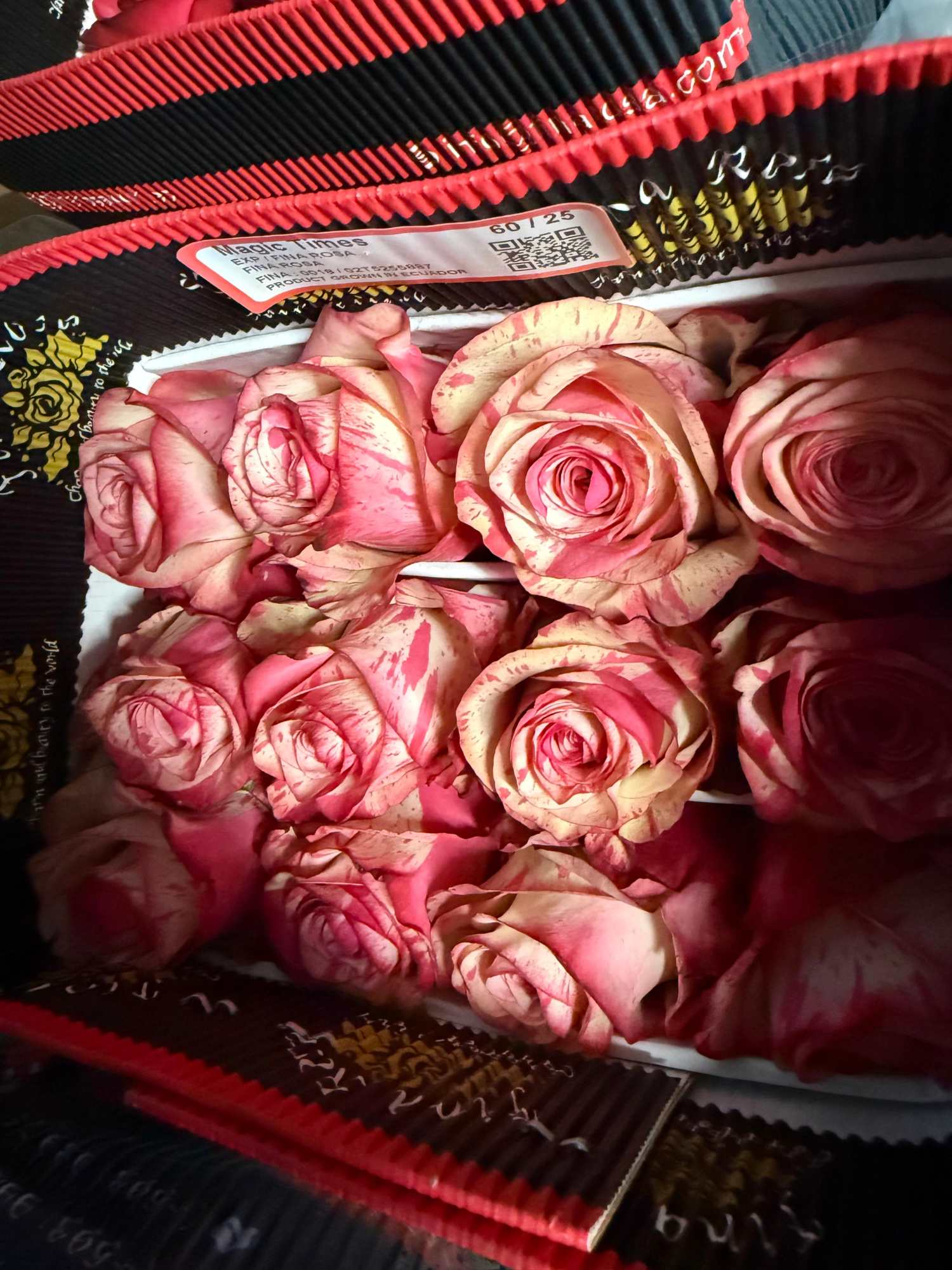 Pink and White Wholesale roses
