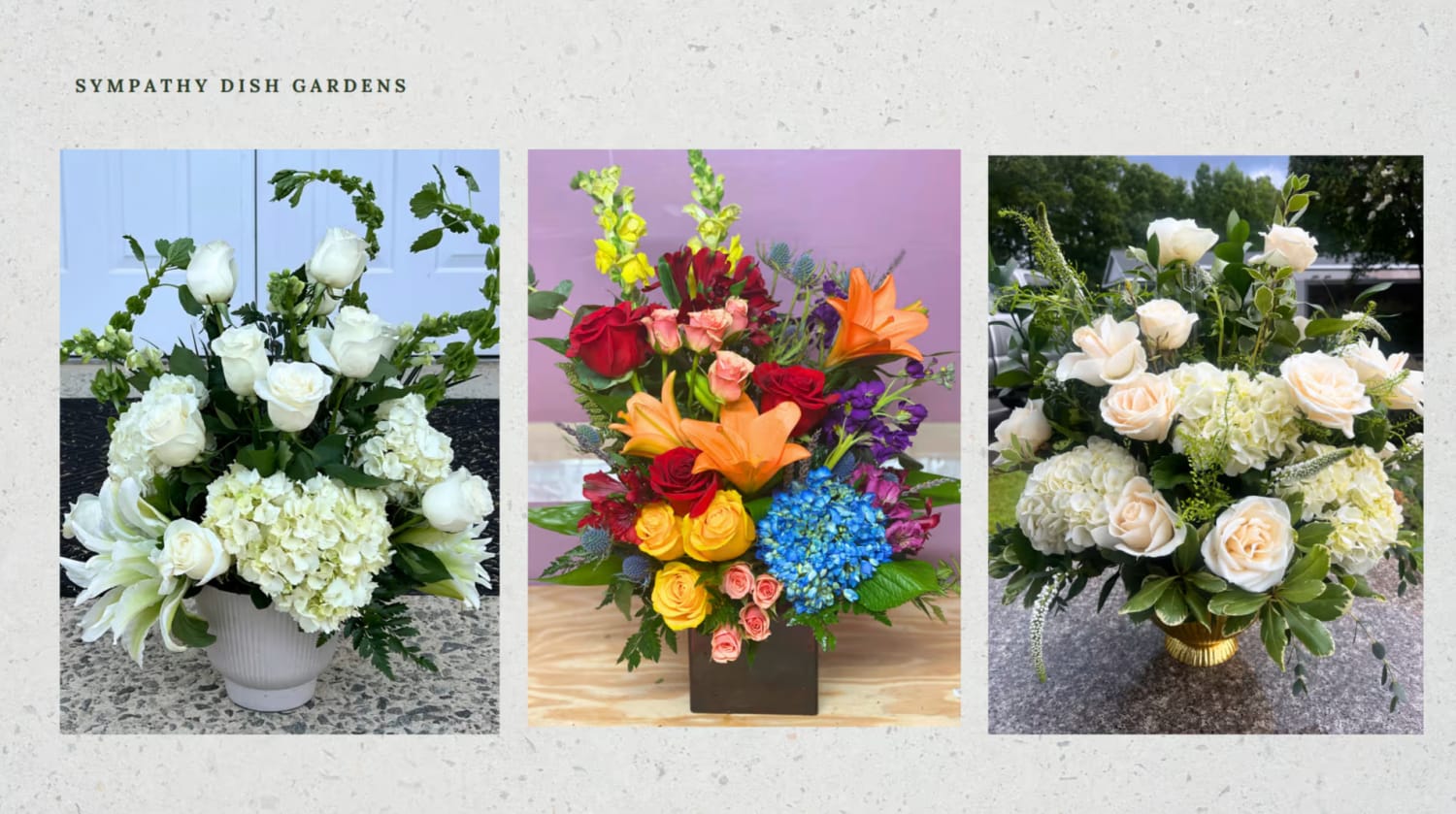 sympathy dish gardens
