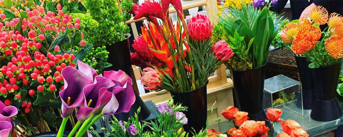 gift flowers