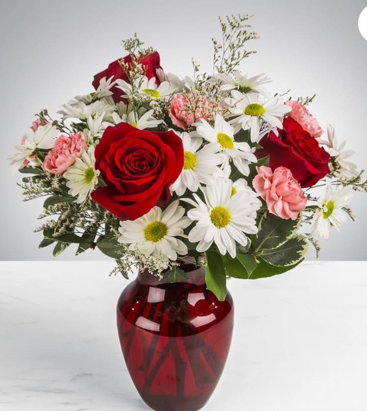 boldly bashful by bloomnation