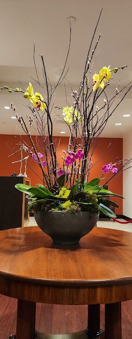 Orchid planter  