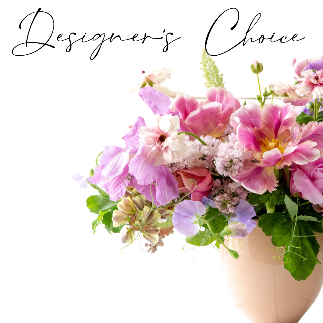 Designer's Choice $100