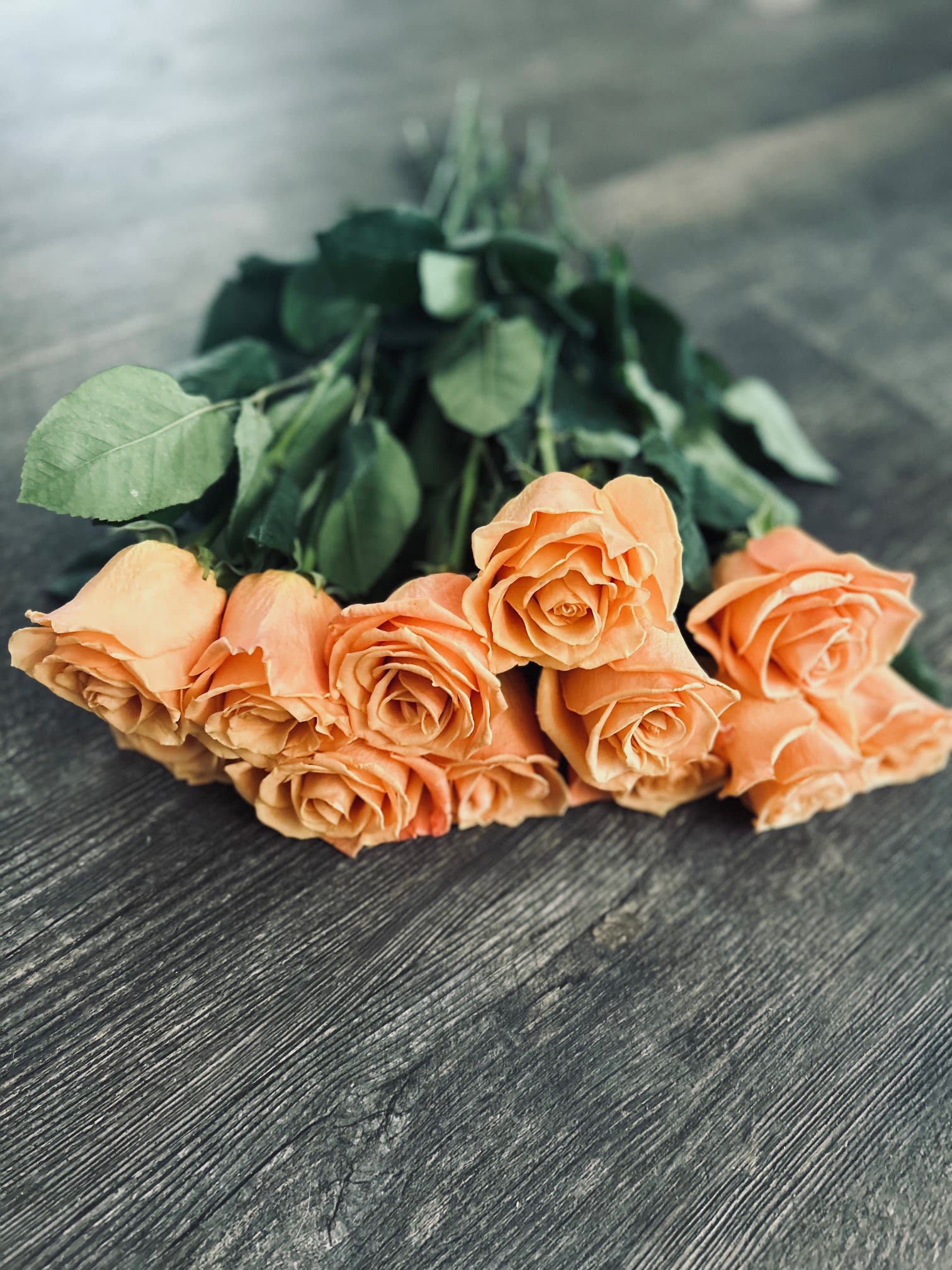 Bundle of Beauty