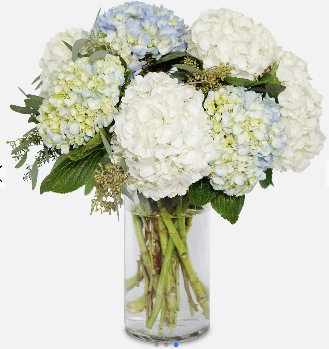 Hydrangea Mix