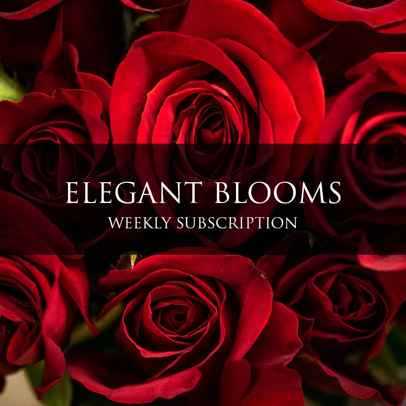 Elegant Blooms