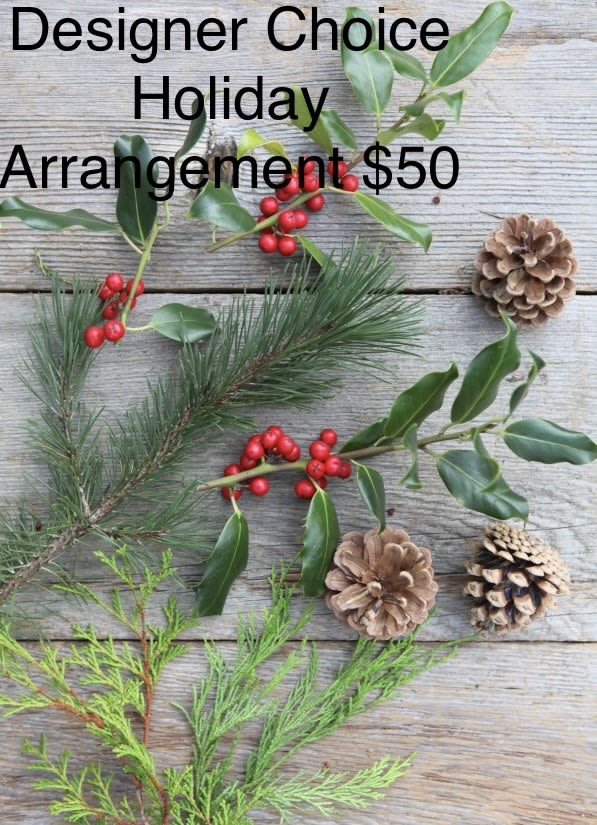 Designer Choice Holiday Arrangement 