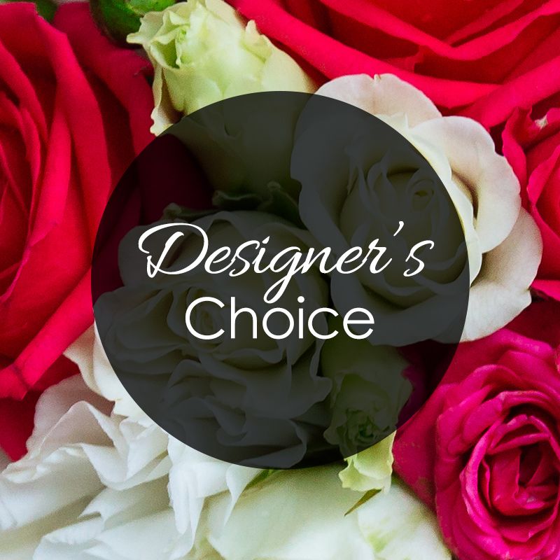 Designer's Creation Standard 