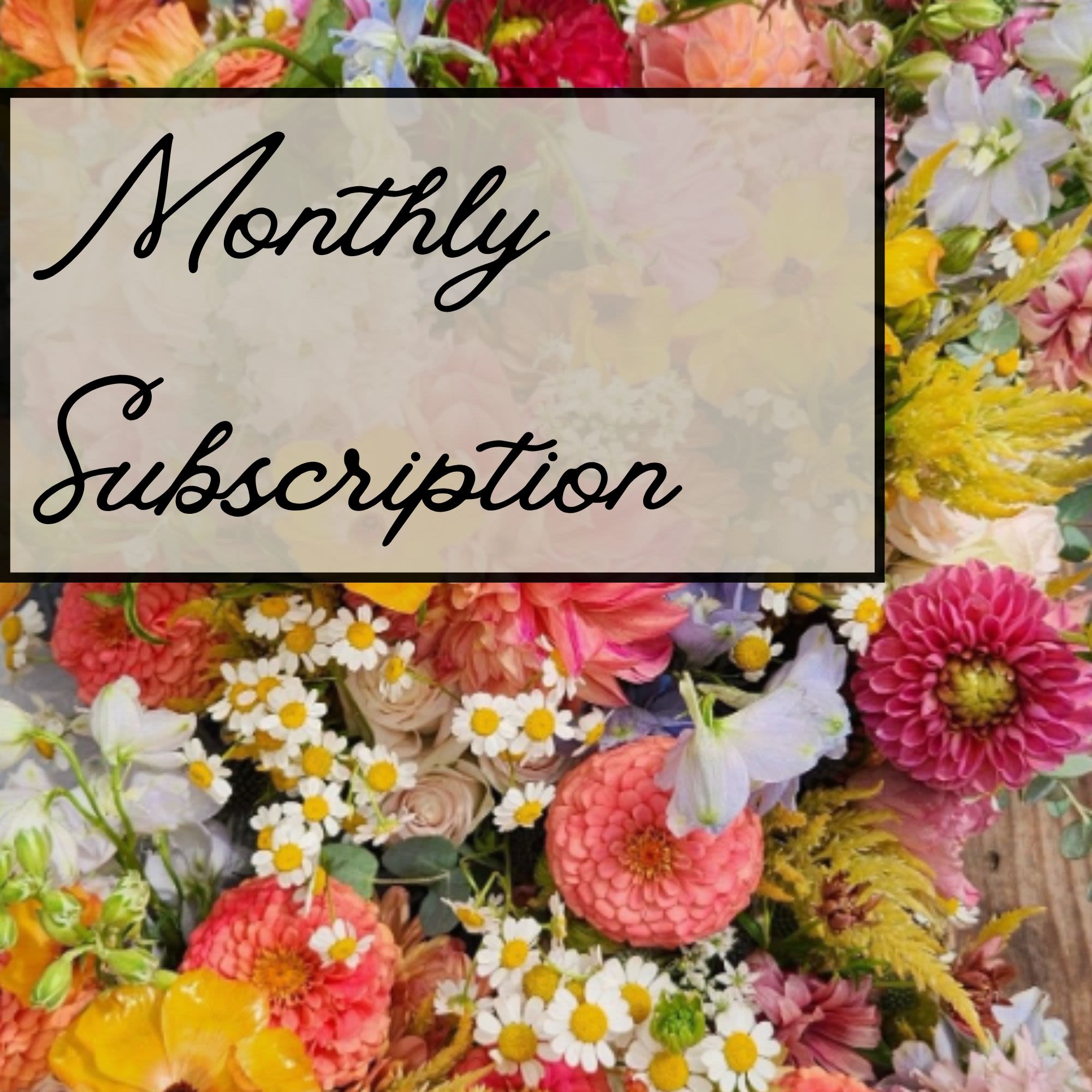 Monthly Subscription