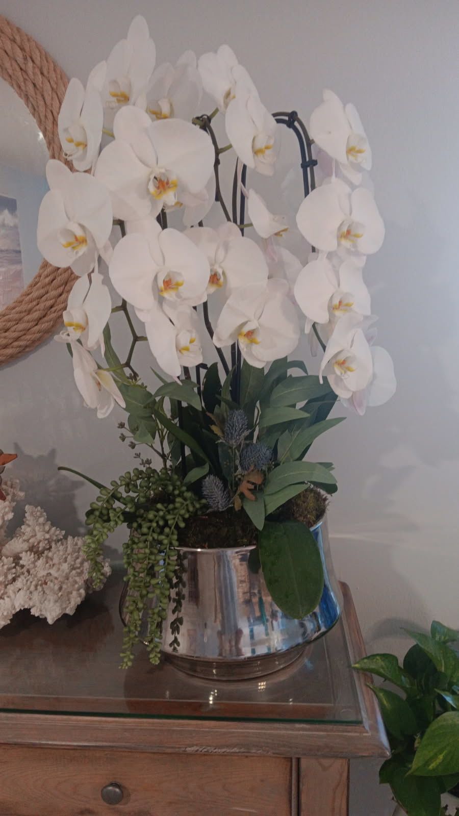 Orchids Rental 1 