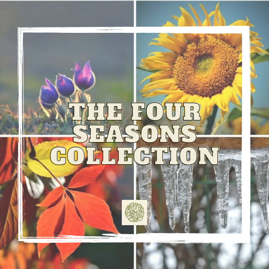 The Four Seasons Collection