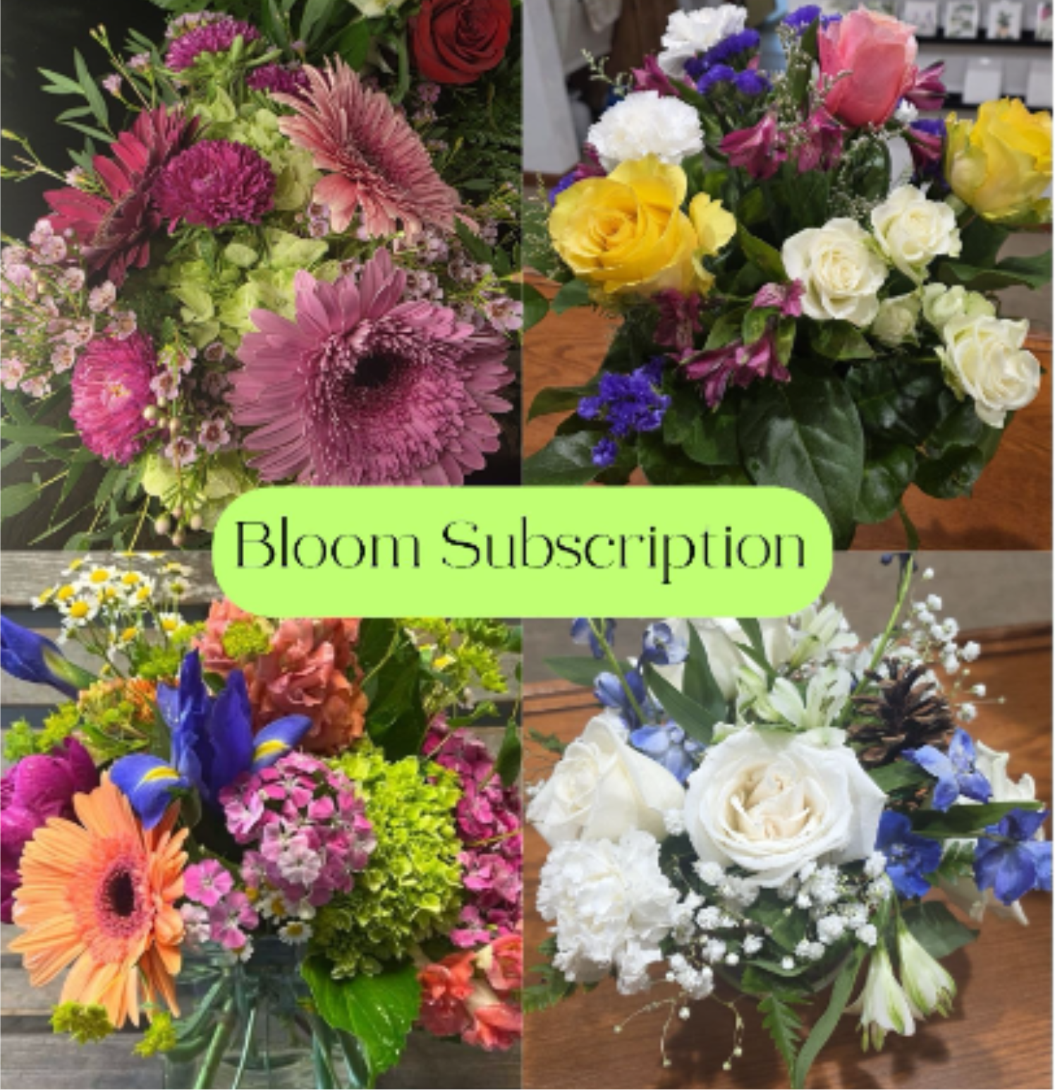 Bloom