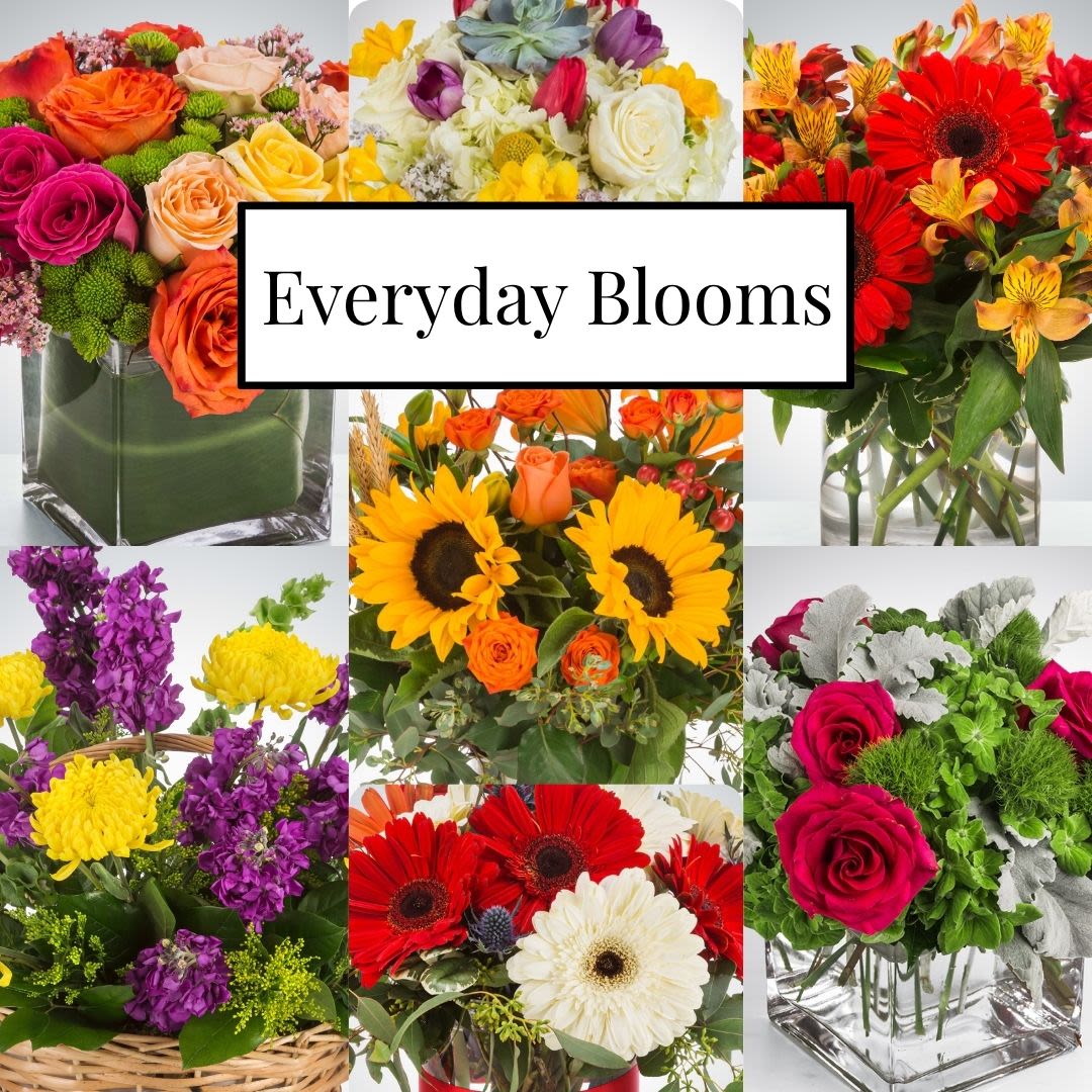 Everyday Blooms