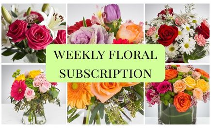 Weekly Subscription