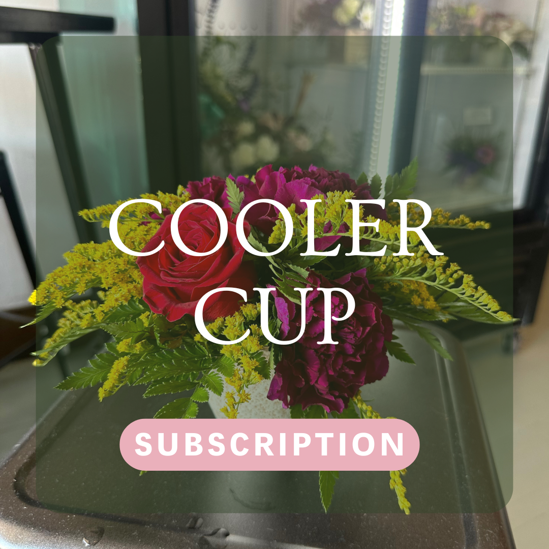 Cooler Cup Floral Arrangement Subscription by Birch & Blossom