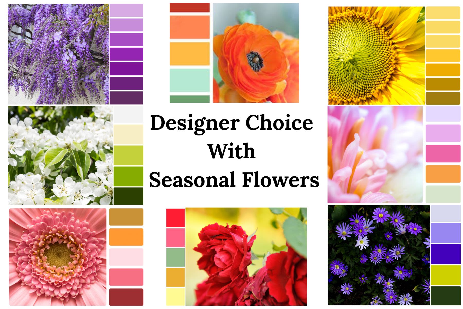 Seasonal Designer Choice
