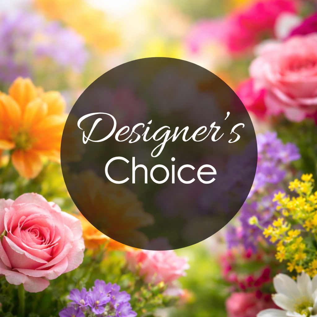 Designer's Choice Subscription