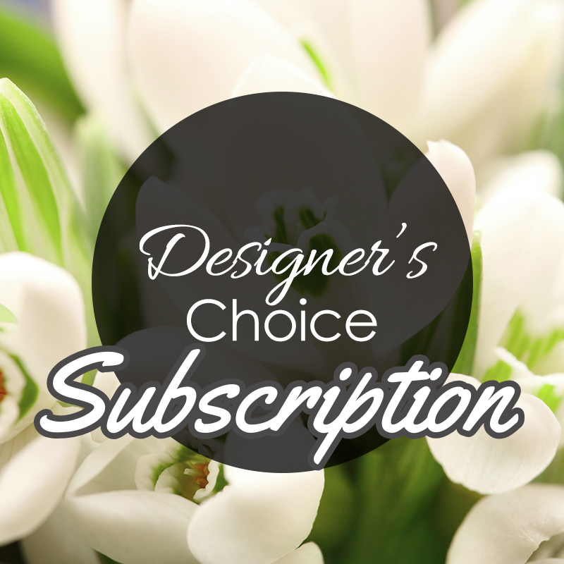 Designer's Choice Subscription
